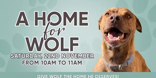 A Home for Wolf