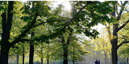 Buiten bewegen met plezier