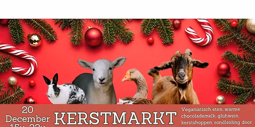 Daisyfields kerstmarkt