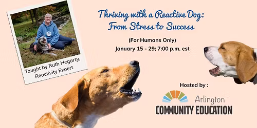 Thriving with a Reactive Dog: From Stress to Success