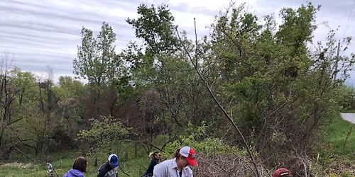 Nature Meetup Habitat Improvement