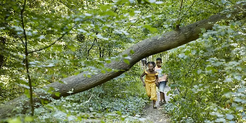 Bushcraft in the Wood for families in Sydenham Hill Wood