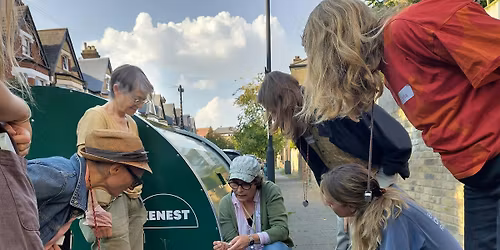 Identifying pavement plants: botany for beginners