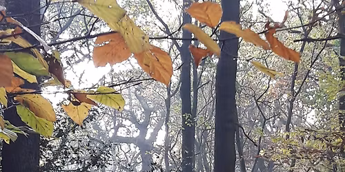 Jamyang Well-being Day - ALMOST SOLD OUT