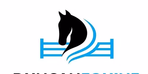 DUNCAN EQUINE GROUP 42nd WA ALL WELSH SHOW