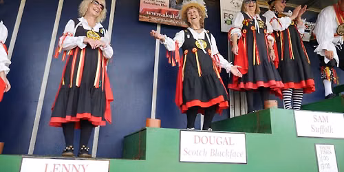 Sompting Village Morris at Findon Sheep Fair Nepcote Green