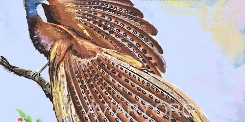Brushes & Birds: Great Argus