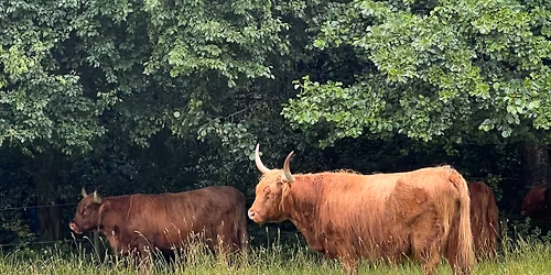 Naturpark Skovs\u00f8 - Trelleborg Golfbane i roligt tempo - 5 km