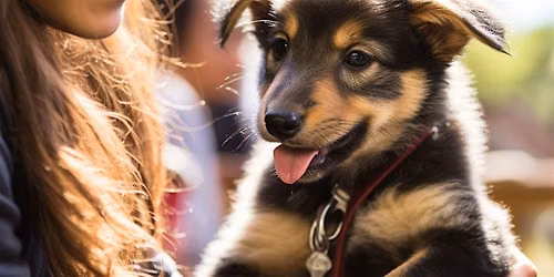 Dog Adoption Event Volunteering