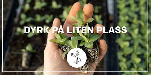 KURS: Dyrk p\u00e5 liten plass