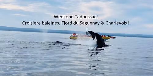 Weekend Tadoussac, croisi\u00e8re baleines, Fjord du Saguenay & Charlevoix!