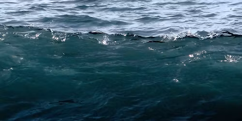 Warsztaty \/ konsultacje poetyckie