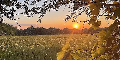 Godley Green Discovery Walk