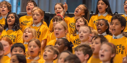 VFL Wiltshire Children's Choir at the Blue Sky Festival! (6pm performance)
