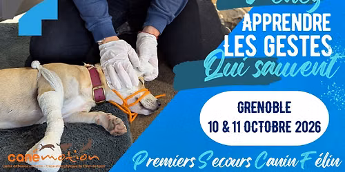 Formation aux Premiers Secours pour Chien et Chat \u00e0 GRENOBLE