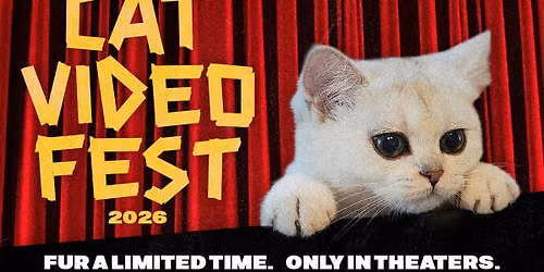 CatVideoFest 2026