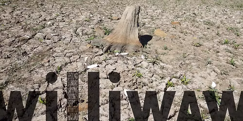 williwaw at the Old Hairdo