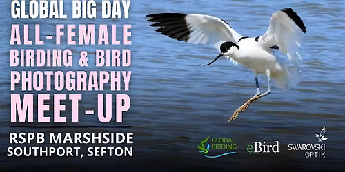 Global Big Day: All-Female Birding & Bird Photography Meet-Up