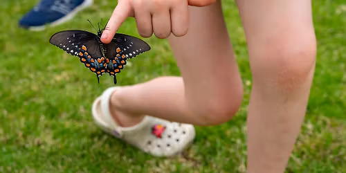 The Gardens Hullabloom Fest