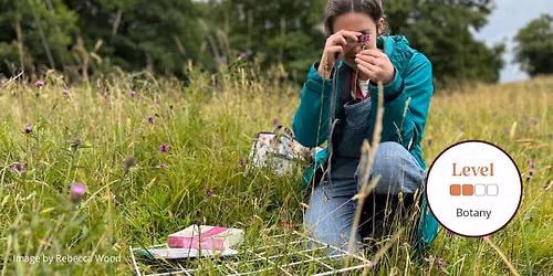 Botanical Skills for Ecologists