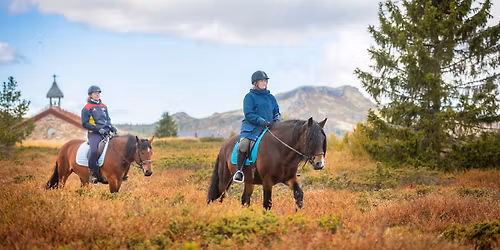 Gutsy Girls Holiday | Norway Improvers Horse Riding and Yoga Holiday