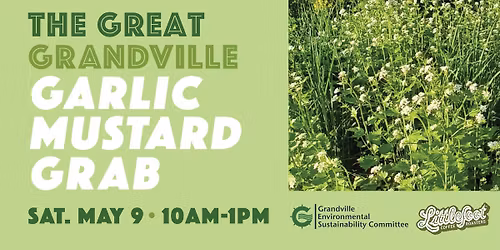 The Great Grandville Garlic Mustard Grab