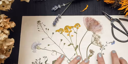 Flora in Focus: Educational Herbarium Experience