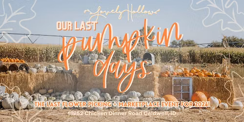 Last Pumpkin Days + Marketplace