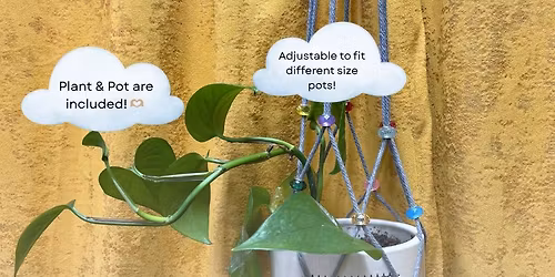 Macrame Plant Hanger Workshop