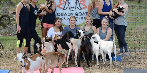 Grady Goat Yoga Tampa Bay 2025