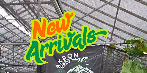 Akron Aroids Greenhouse Days - NEW ARRIVALS