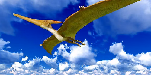 Pterodactyl Take Off \u2013 Aliante Library