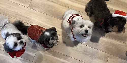 Potecaf\u00e9 med julehygge