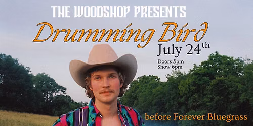 Drumming Bird Live at The Woodshop