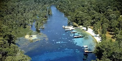 Wakulla Springs Watershed Tour with UF\/IFAS Extension Leon County