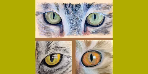 Capturing Cat's Eyes in Soft Pastels - workshop 