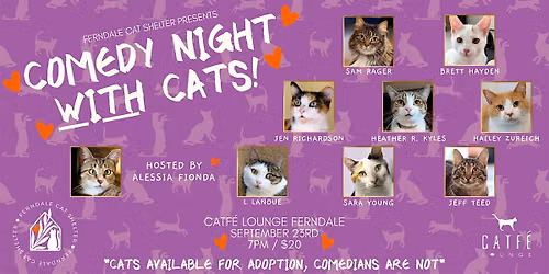 Comedy Night with Cats!
