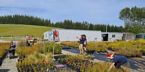Native Plant Nursery Drop In 