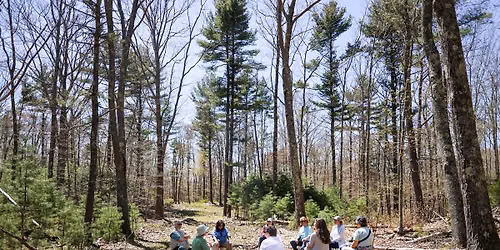 Simply Being: Guided Mindfulness Walk & Shaker Tea Gathering at the Shaker Bog
