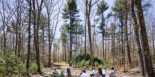 Simply Being: Guided Mindfulness Walk & Shaker Tea Gathering at the Shaker Bog