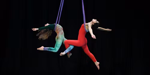 Circus Show Hosted by NECCA