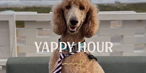 Yappy Hour at Hotel Lucine