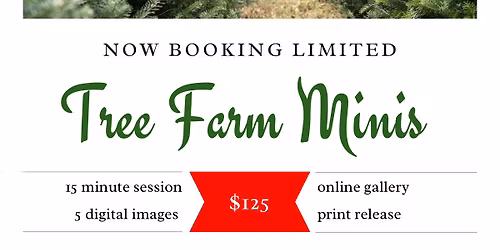 Christmas Tree Minis