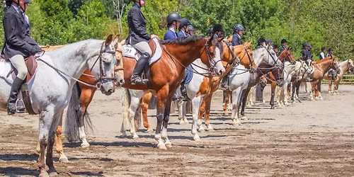 Wacker Performance Horses 17th Annual Open Horse Show