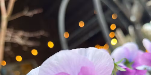 Spring Planter Workshop