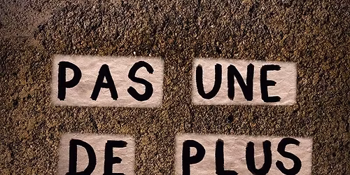 Rassemblement f\u00e9ministe & Retraite aux flambeaux