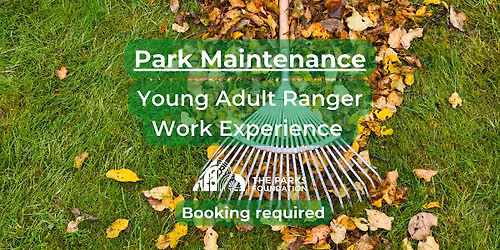 Park Maintenance - Young Adult Ranger Work Experience at Kinson Baths
