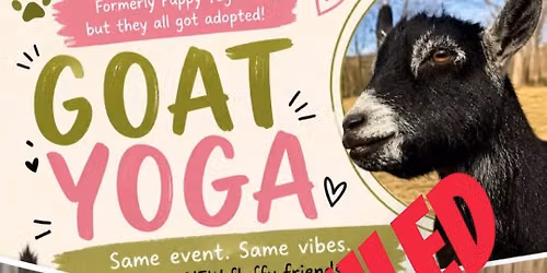 Goat Yoga