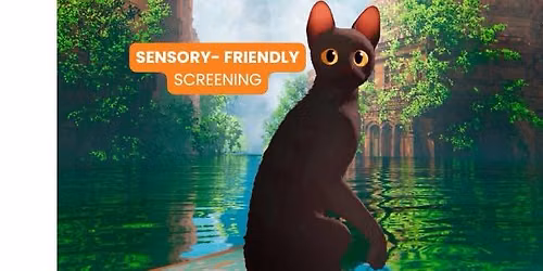 Flow \u2014 Sensory Friendly Screening