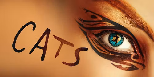 Cats, Bristol Hippodrome